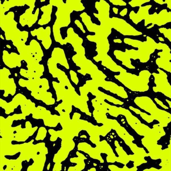 raquetedebeachtennisoutridebandit20211