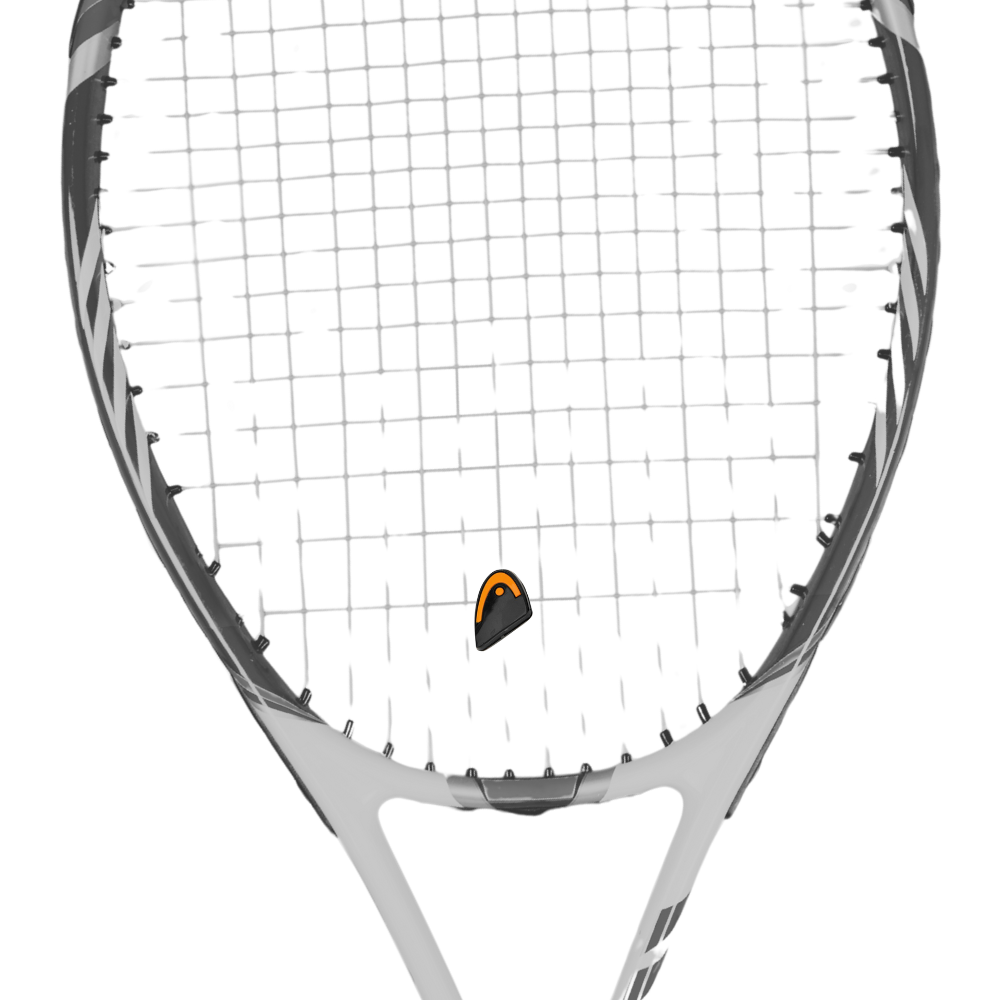 fotos site 2025 10 23t144232 233