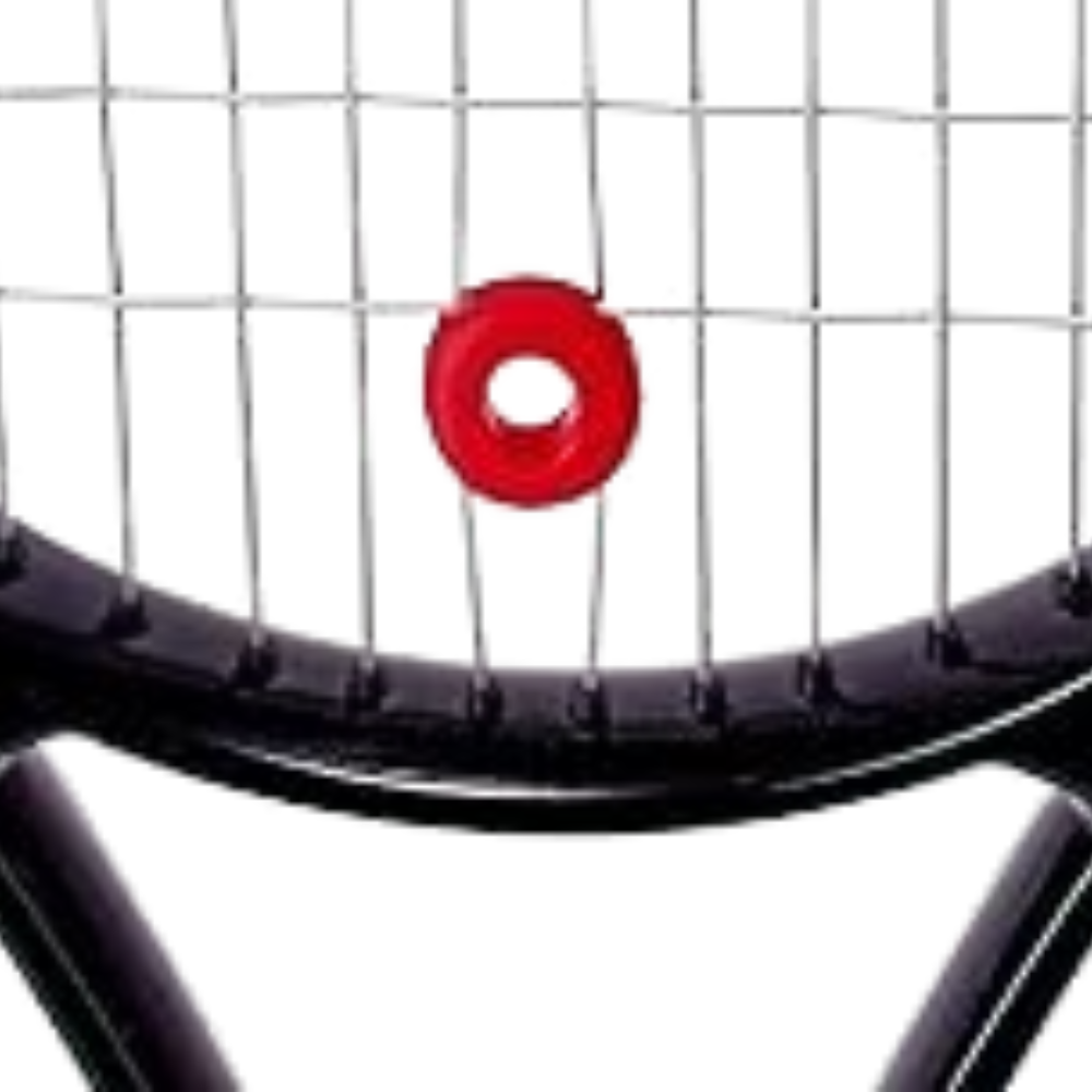 fotos site 2025 10 24t133600 674