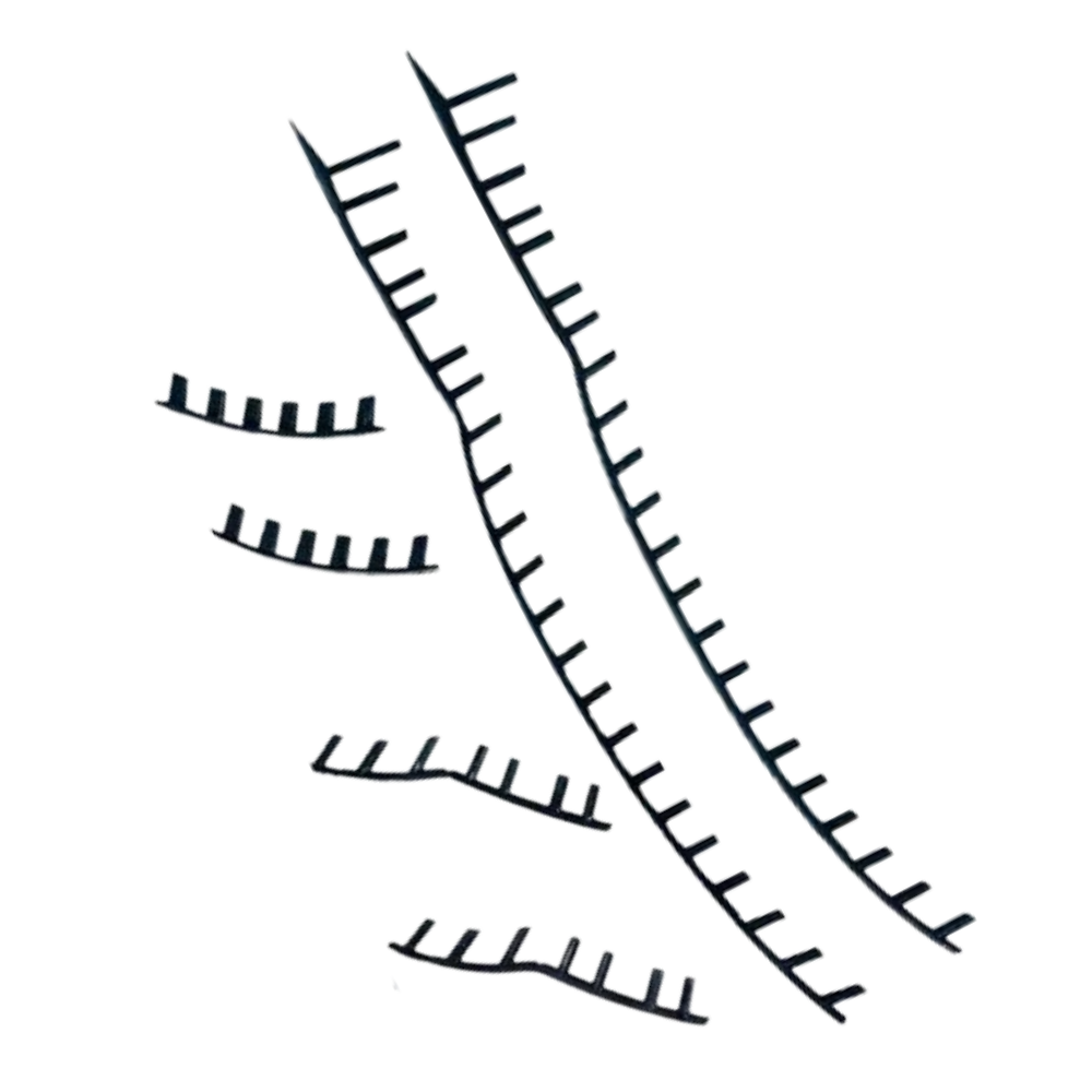 fotos site 2025 12 02t145943 268