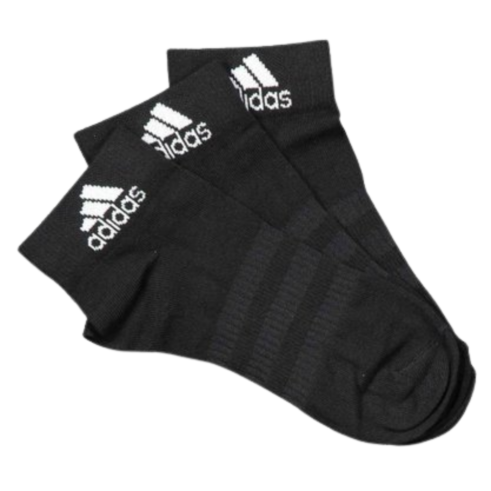 fotos site 2025 12 08t171725 167