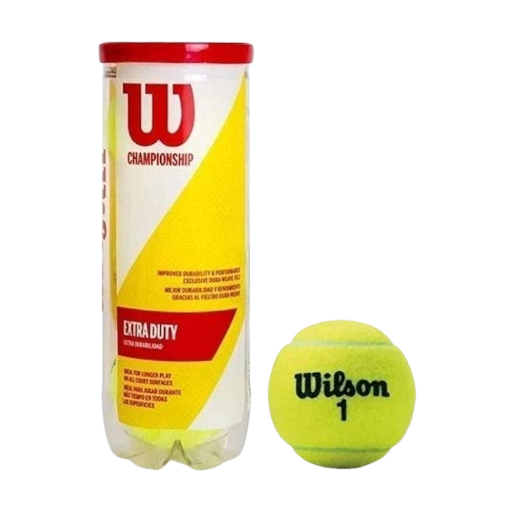 fotos site 2025 12 09t154028 630