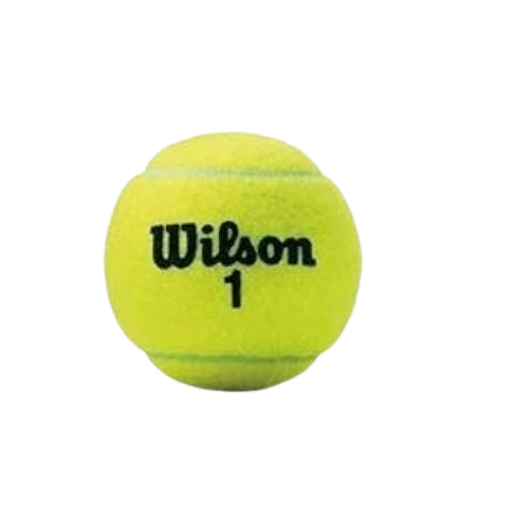 fotos site 2025 12 09t154041 442