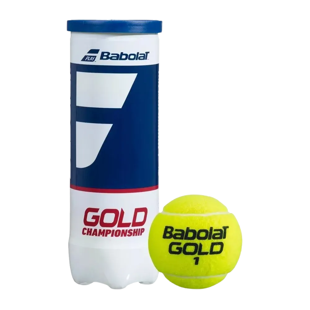 fotos site 2025 12 09t155037 422