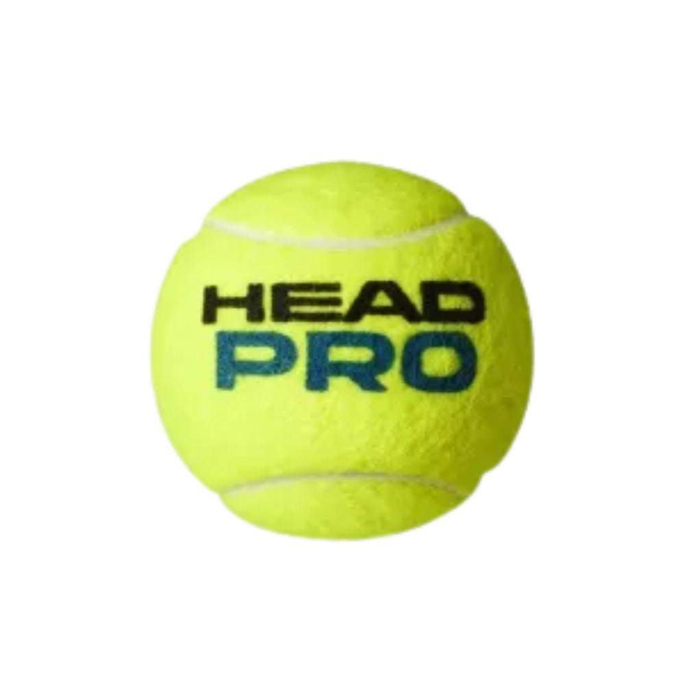 fotos site 2025 12 09t162238 938