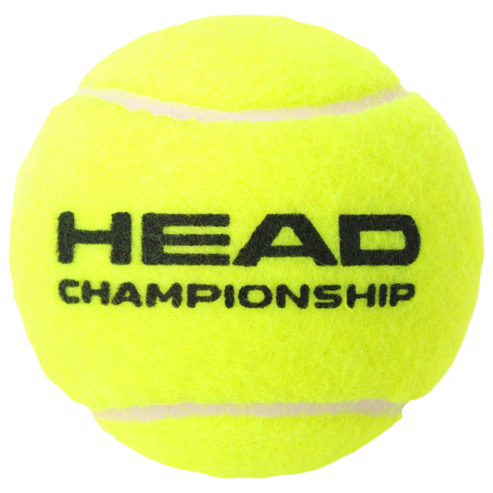 fotos site 2025 12 09t171058 596