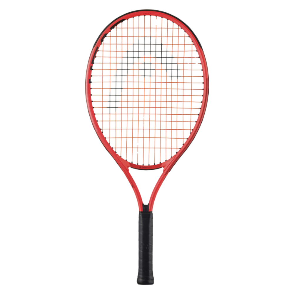 fotos site 2025 12 11t135057 728