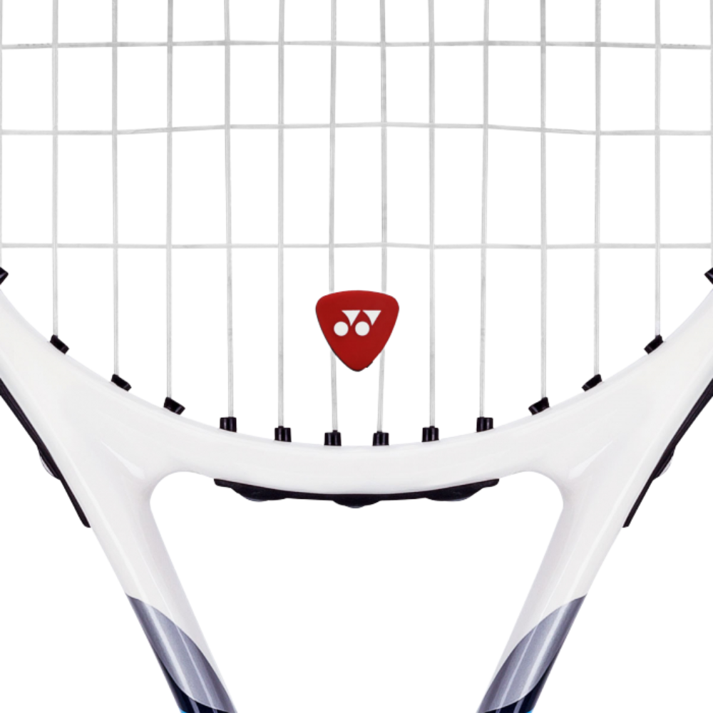 fotos site 2025 12 11t151025 133