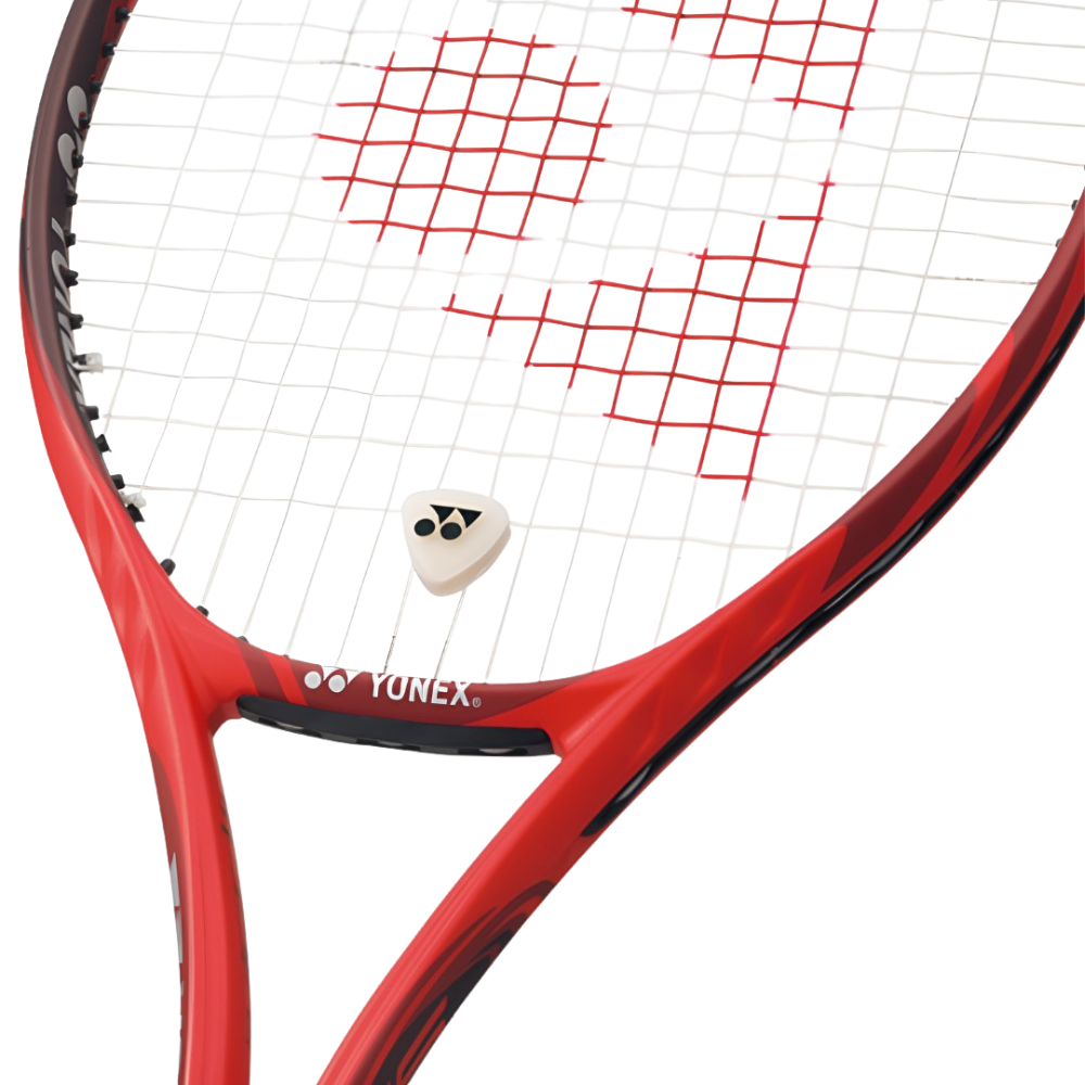 fotos site 2025 12 11t151609 835