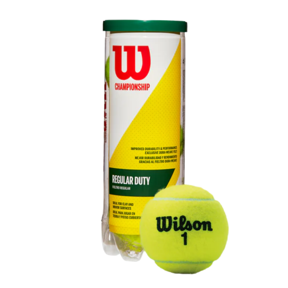 fotos site 2026 01 19t141003 739