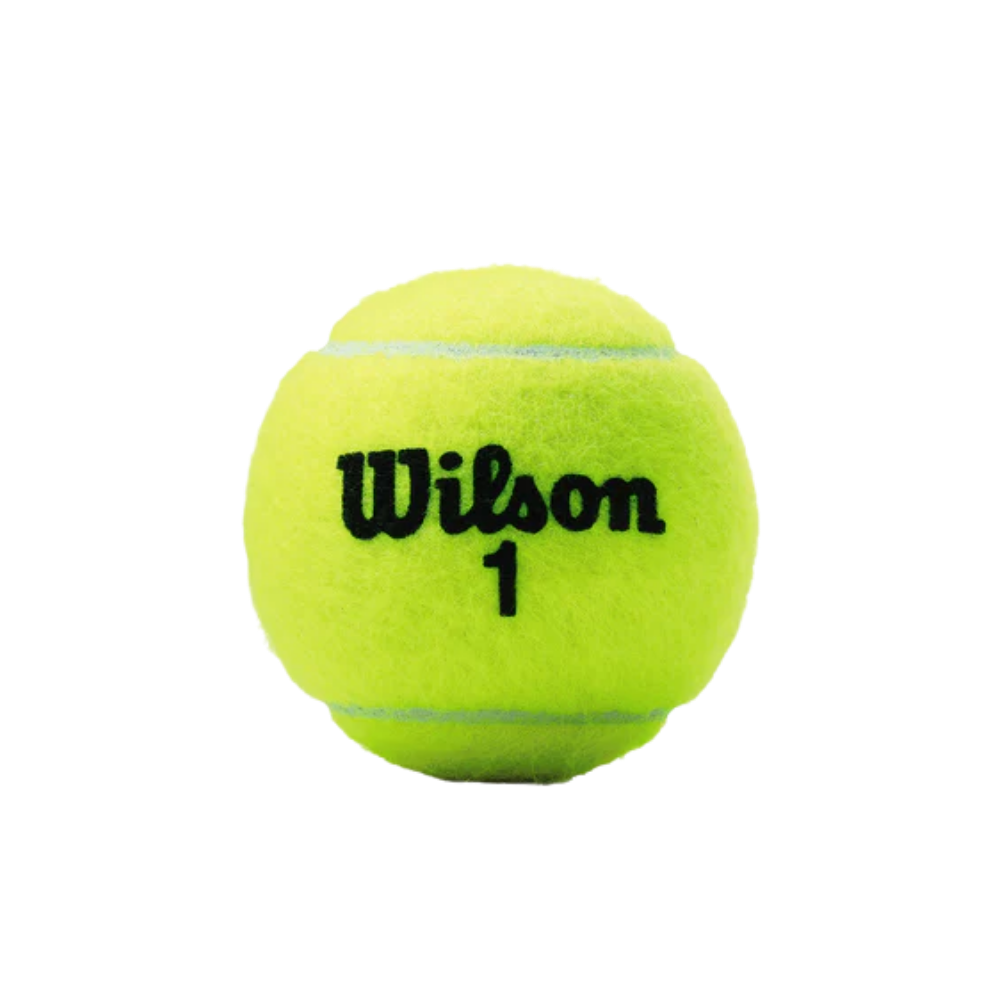 fotos site 2026 01 19t141036 564